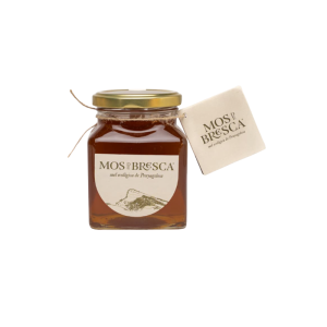 Penyagolosa 2025-Ecològica